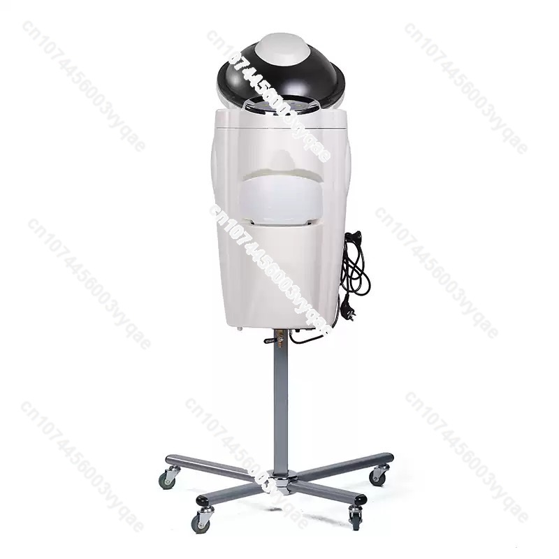 Hair Care Tools - Oil Treatment Ozone Micro Mist Steam